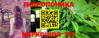 метадон Будённовск
