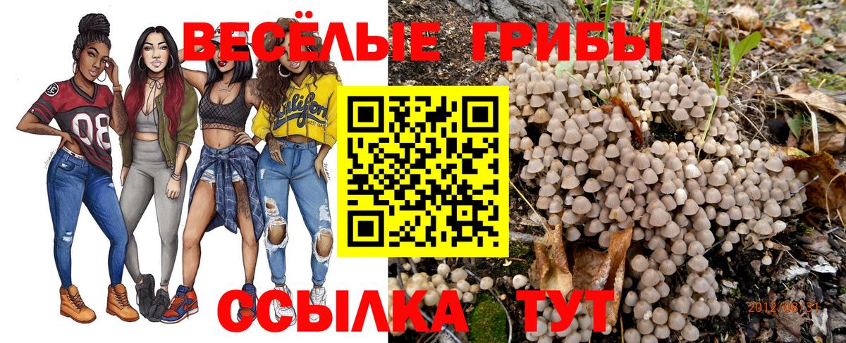Псилоцибиновые грибы Psilocybe  Вход с VPN  Кудымкар 